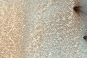 Dunes Dubbed Capistrano