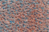 North Polar Dunes