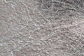 Terrain Sample