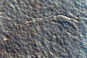 Northern Margin of Tempe Terra