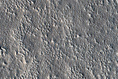 Impact Monitoring in Arcadia Planitia