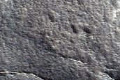 Northern Plains Terrain