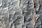 Hellas Planitia