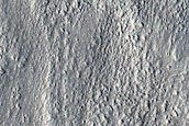 Lobate Glacier with Fresh Impact