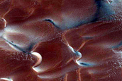 Dunes Dubbed Buzzel