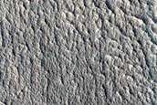 Candidate Recent Impact Site