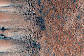 Western Abalos Scopuli Scarp and Dune Monitoring