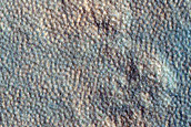 Pitted Mantle near Milankovic Crater