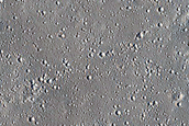 Elysium Planitia