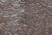 Patterned Northern Plains Terrain