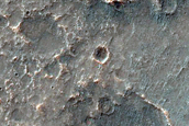 Albedo Monitoring in Solis Planum