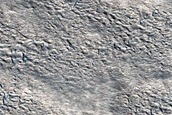 Terrain Sample