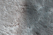 Terrain Sample