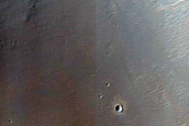 Terrain Sample