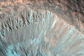 Gully Monitoring