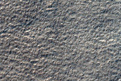 Hellas Planitia Terrain