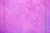 Terrain Sample