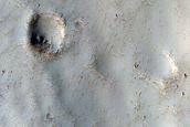 Northern Mid-Latitude Terrain