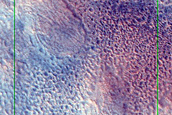 Interaction between Cone and Ejecta 