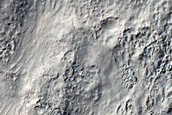 Possible Olivine-Rich Materials on Terra Sirenum Crater Floor