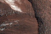 Gully Frost Monitoring