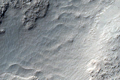 Terrain Sample