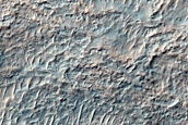 Possible Olivine-Bearing Materials Exposed by Crater West of Newton Crater
