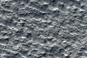Terrain Sample