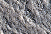 Protonilus Region