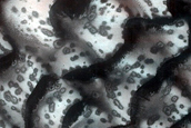 Dune Monitoring in Crater