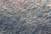 Terrain Sample