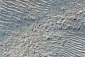 Dust-Raising Event and Streak Monitoring in Argyre Planitia