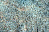 Utopia Planitia Scallops and Polygons