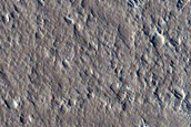 Amazonis Planitia