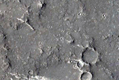 Elysium Planitia