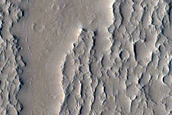 Arabia Terra
