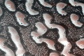 Dune Monitoring in Crater