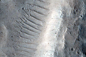 Candidate Recent Impact Site