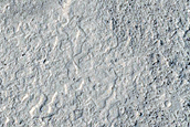 Flow Contact in Elysium Planitia