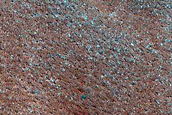 Dunes Dubbed Kaltain
