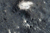 Monitoring New Impact Site 