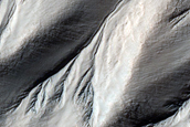 Gully Monitoring