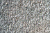 Dune Field in Nereidum Montes
