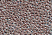 Terrain Sample