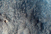 North-Facing Gully