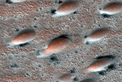 North Polar Duneforms and Frost