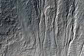 Gully Monitoring