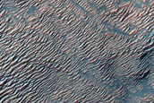 Bedrock Exposures in Rim of Holden Crater