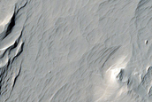 Lucus Planum