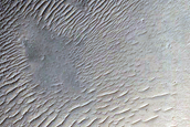 Northern Terra Cimmeria